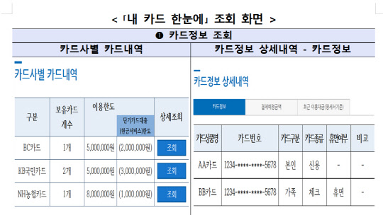 '내 카드 한눈에' 조회 화면. 금융감독원 제공